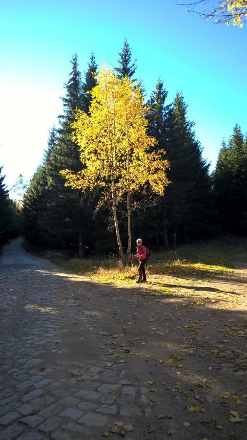 Pokoj Kameralny- De Luxe Z Oddzielnym Wejsciem Karpacz Buitenkant foto
