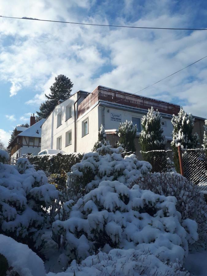 Pokoj Kameralny- De Luxe Z Oddzielnym Wejsciem Karpacz Buitenkant foto