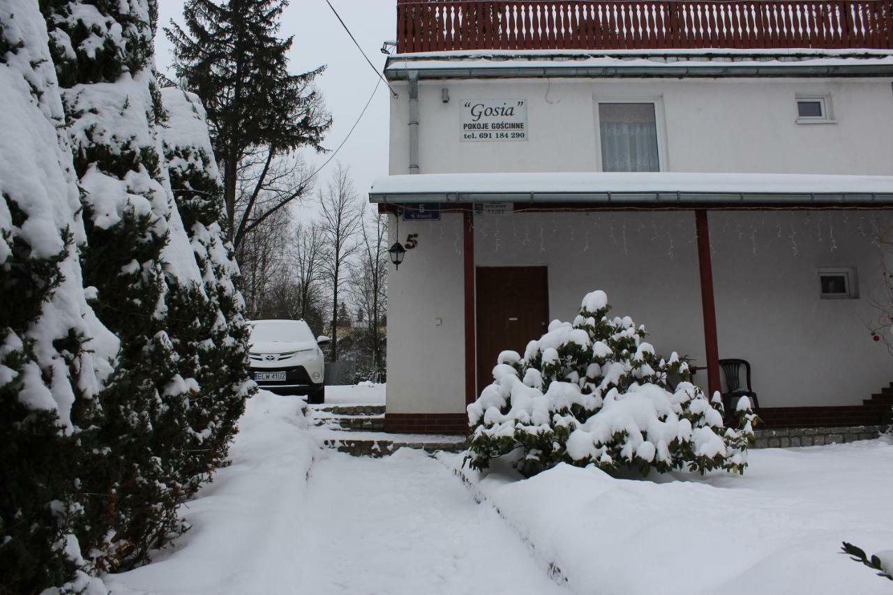 Pokoj Kameralny- De Luxe Z Oddzielnym Wejsciem Karpacz Buitenkant foto